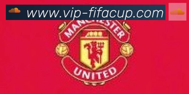 FIFA世界杯盘口官方网站合作伙伴
